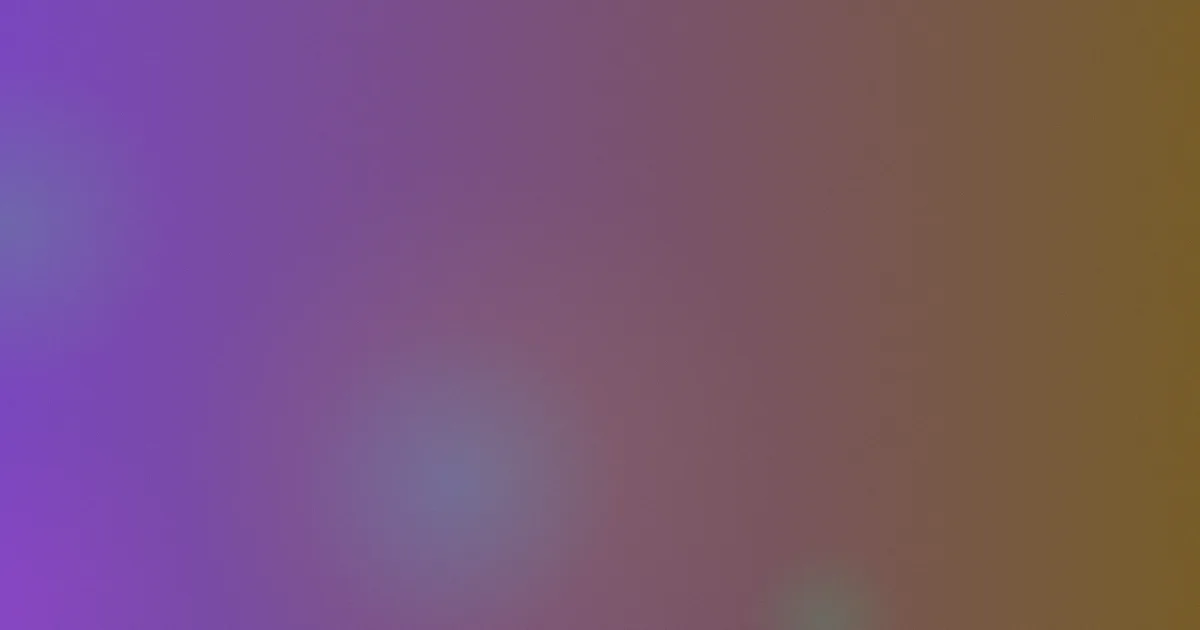 井迪儿怎么用？一次完整试听体验